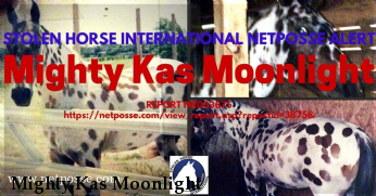 Mighty Kas Moonlight