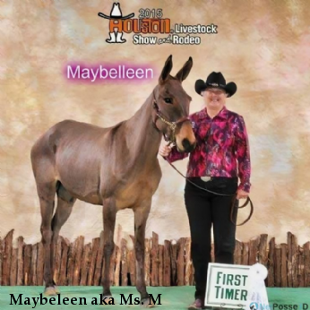 Maybeleen aka Ms. M