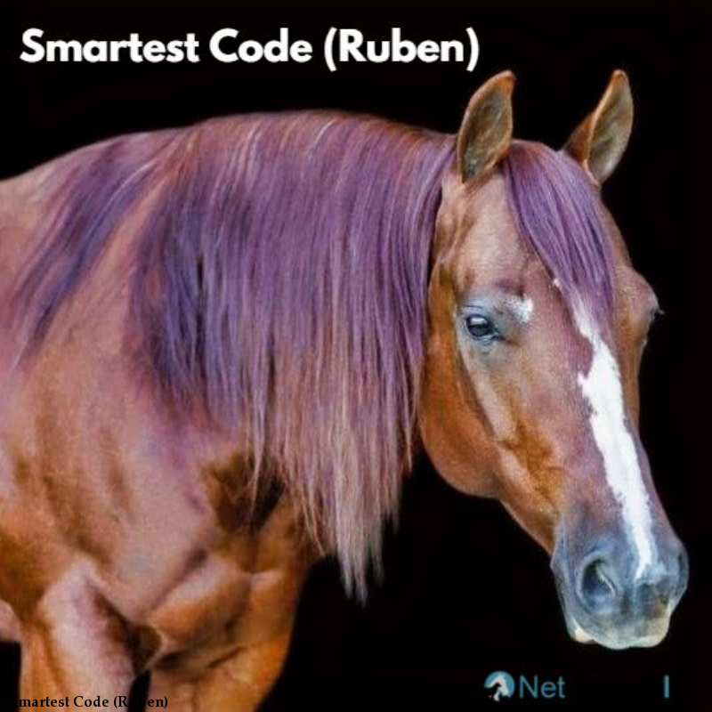 Smartest Code (Ruben) #8979