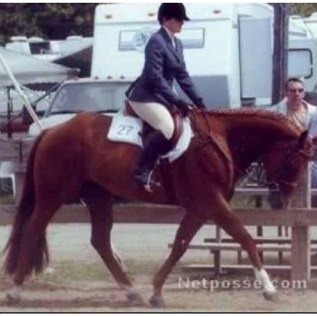 MISSING Horse - Red Leather Pants
