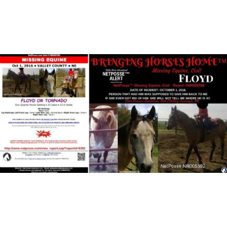MISSING Horse - Watch Joes Issue