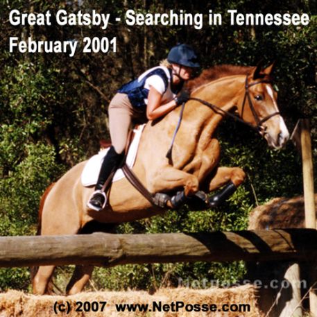 MISSING Horse - Gypsy/Great Gatsby