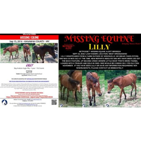 MISSING Horse - Lilly