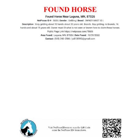 FOUND OWNER MUST ID Horse