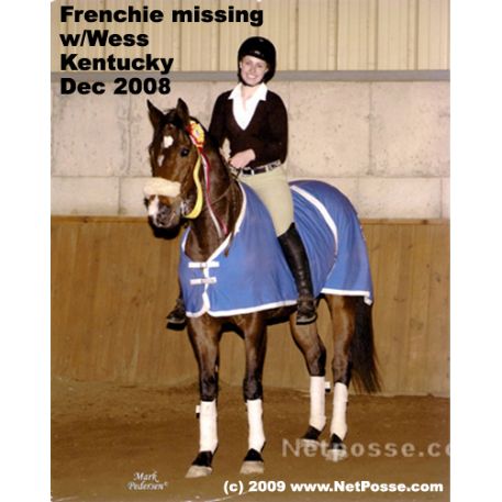 MISSING Horse - Old Frenchman