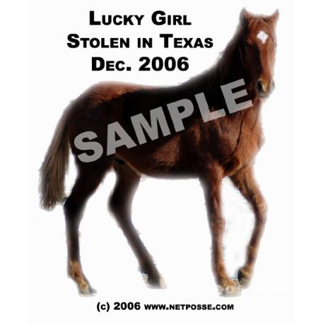 MISSING Horse - luckygirl #6522