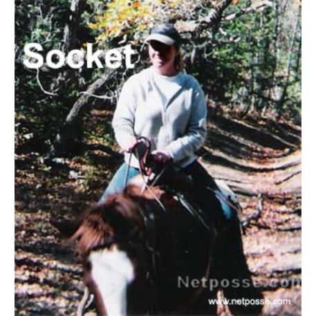 STOLEN Horse -  Double Sockett