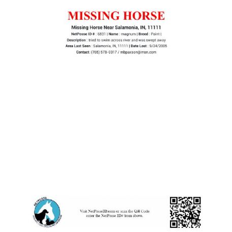 MISSING Horse - magnum