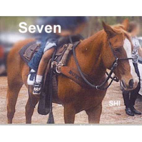 STOLEN Horse - Seven