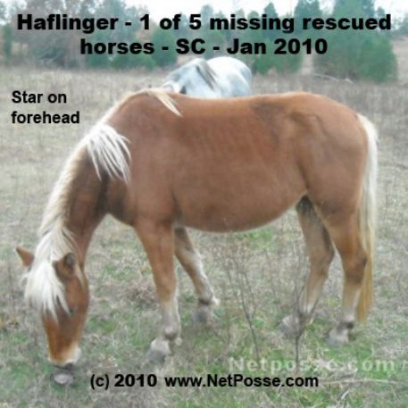 MISSING Horse - Unknown (Rescue)