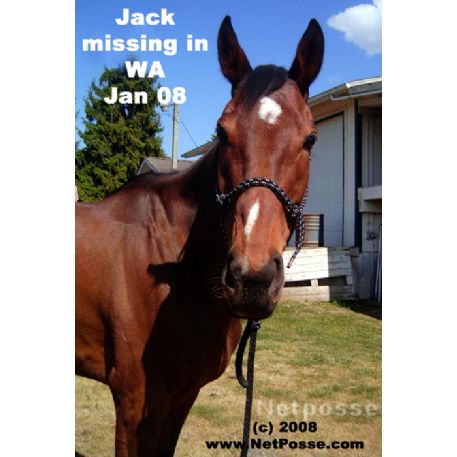 MISSING Horse - unsure of his Registered name