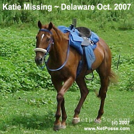 MISSING Horse - Kickin' Kate