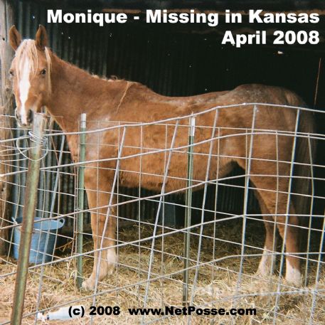 MISSING Horse - Owl Creek Monique