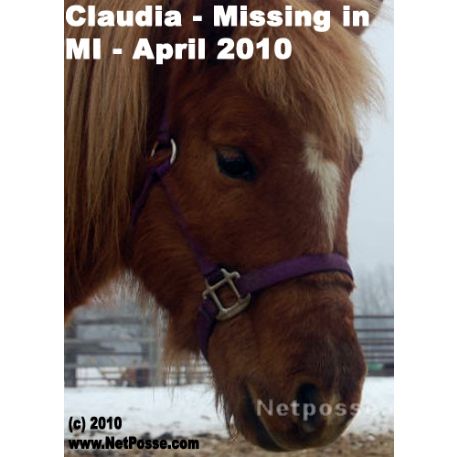 STOLEN Horse - Claudia