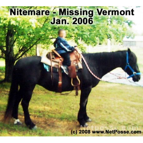 MISSING Horse - Nitemare