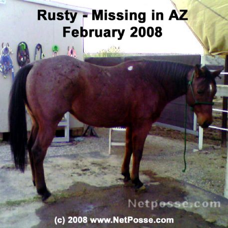 MISSING Horse - Rustin Iron