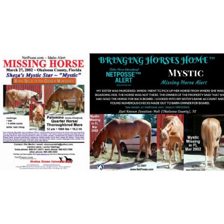 MISSING Horse - Sheza's Mystic Star