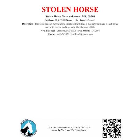 STOLEN Horse - Lobo