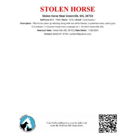 STOLEN Horse - Shilo