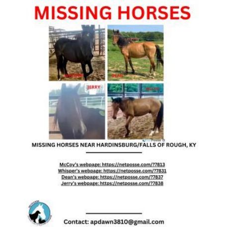 MISSING Horse - Dean