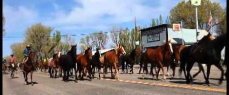 Who could identify your horse in a herd of horses?