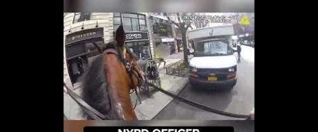Mounted NYPD Officer Chases Down Purse Snatcher on City Street
