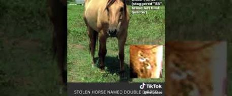 Stolen Oklahoma 10 Horses  Cold Case Review 10 Years Later