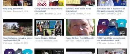 Check out the Stolen Horse International Videos on our Facebook Page