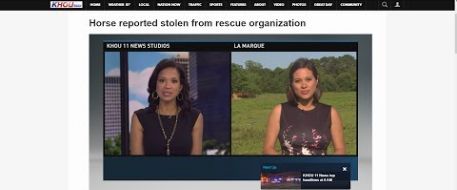 Horse reported stolen from rescue organization