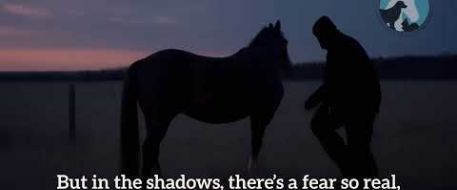 Bring My Horse Back Home