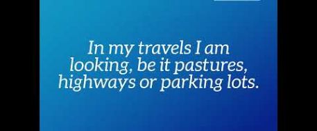 In Memory of Dawn Marie Thomson