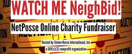 NetPosse NeighBid Auction 2023 - Instructions