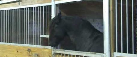 Just for Fun: Something to think about....