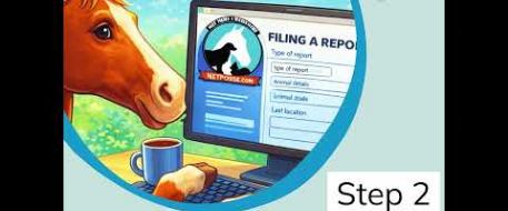Stolen, Missing Horse Tips That Increase Recovery