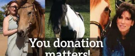 NetPosse $5 A Month Club