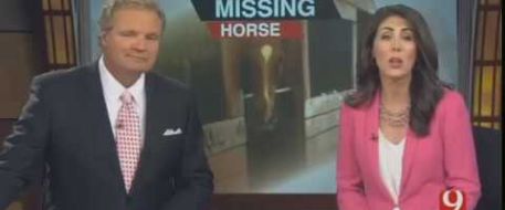 Prized Show Horse Missing From Norman