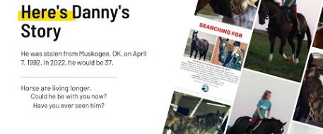 Danny's Story - Stolen and Still Searching For A Horse