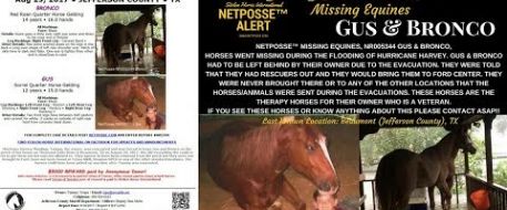 U.S. Army veteran with PTSD in Bevil Oaks searching for missing horses