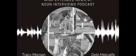 Tracey Morgan Interviews Debi Metcalfe About Stolen Horse Internationa