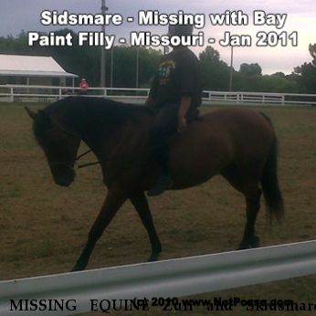 MISSING EQUINE Zuri and Skidsmare, Near Lee's Summit, MO, 64063