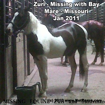 MISSING EQUINE Zuri and Skidsmare, Near Lee's Summit, MO, 64063