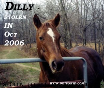 STOLEN EQUINE Weeds Dialette, Near Martinsville, IN, 46151