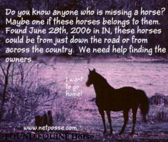 FOUND EQUINE Horse #1, Horse #2 Near Martinsville, IN, 46151