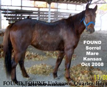 FOUND EQUINE Unknown Quarter Horse Mare, Near Chapman, KS, 68959