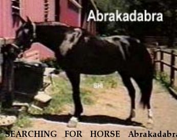 SEARCHING FOR HORSE Abrakadabra, Near Fort Smith or Boonville, AR, 00000