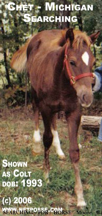 SEARCHING FOR HORSE Moore Bar Bendie, Near Middleville, MI, 49333