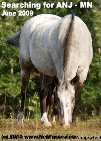 SEARCHING FOR HORSE Ed`s Annjewleek, Near Nowthen, MN, 00000