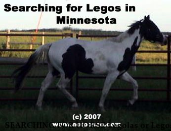 SEARCHING FOR HORSE Legolas or Legos, Ole Versarys Doll Near Ceylon, MN, 56121