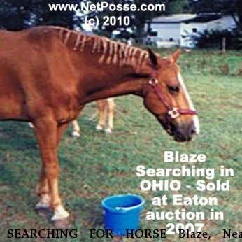 SEARCHING FOR HORSE Blaze, Near unknown, OH, 45011