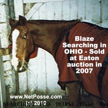 SEARCHING FOR HORSE Blaze, Near unknown, OH, 45011